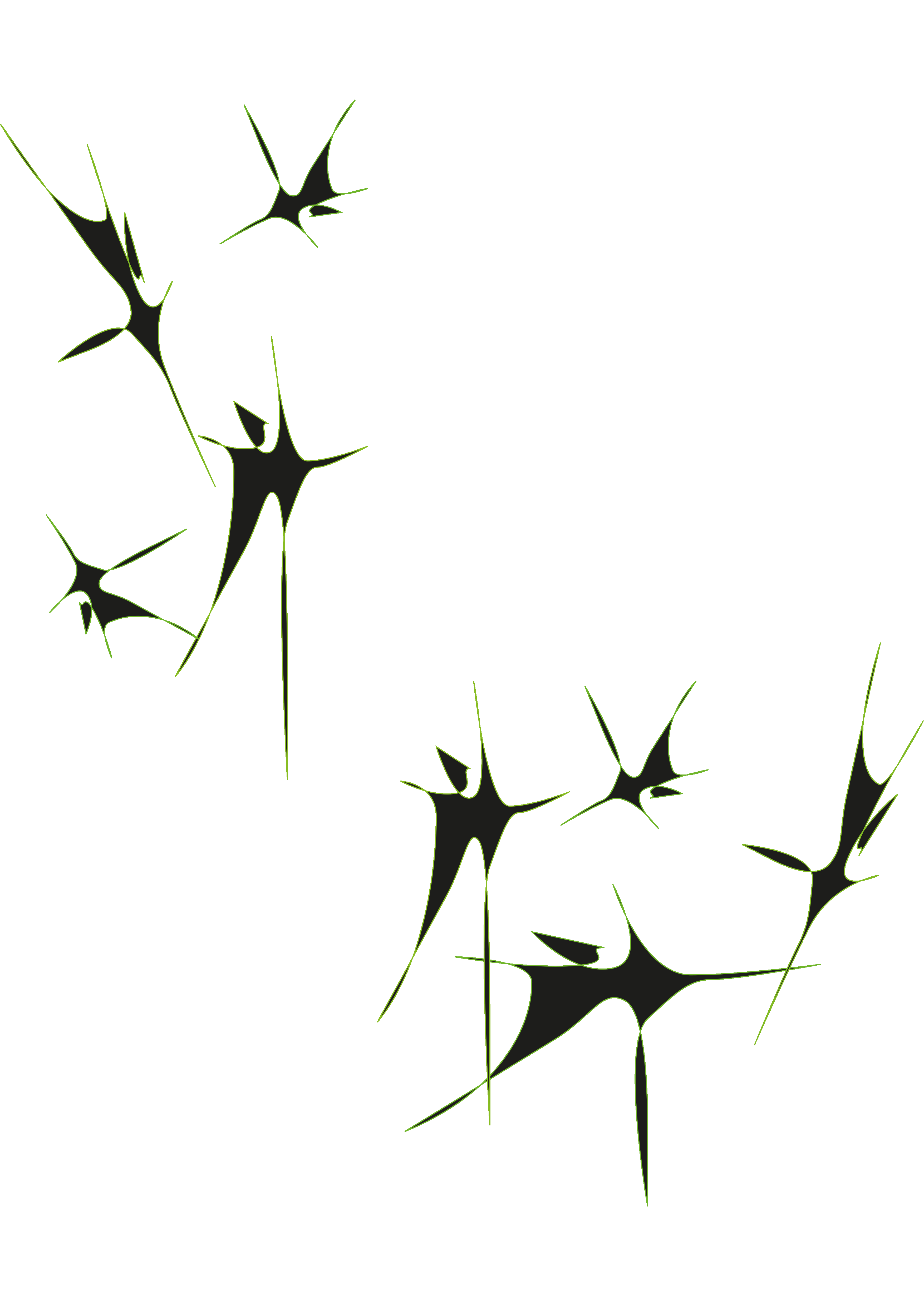 Layer Image