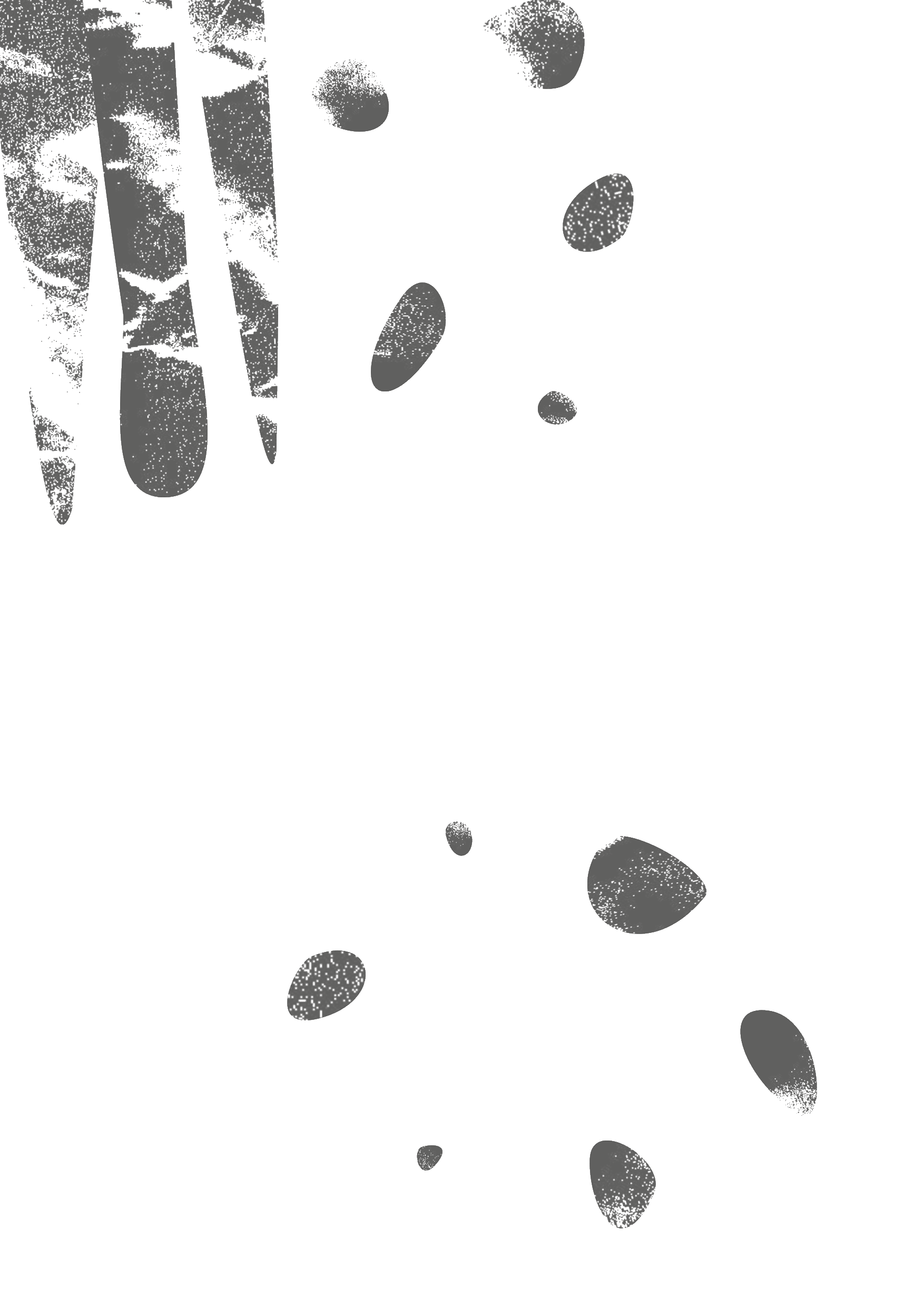Layer Image