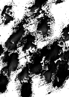 Layer Image